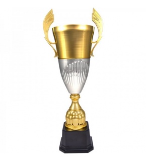Puchar metalowy Winner 3105 - 50 cm